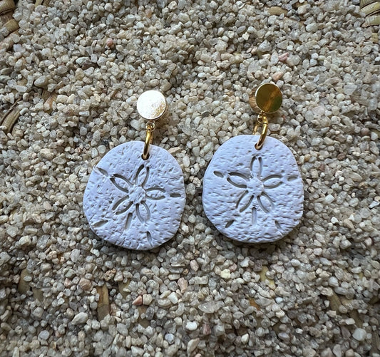 Sand Dollar